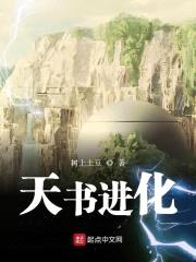 天书进化封面