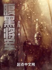 腹黑将军封面