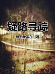 疑路寻踪封面