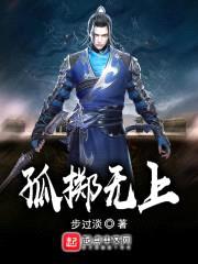 孤掷无上封面