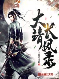 大靖长风录封面