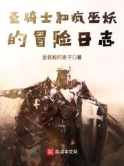 圣骑士和疯巫妖的冒险日志封面