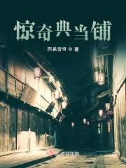 惊奇典当铺封面