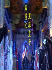 霹雳之黑海皇子封面