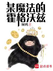 某魔法的霍格沃茨封面