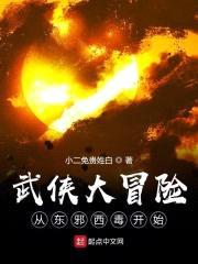 武侠大冒险从东邪西毒开始封面