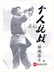 我的个人抗战封面