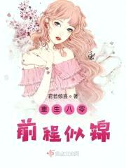 重生八零前程似锦封面