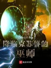 降临克苏鲁的巫师封面