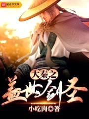 大秦之盖世剑圣封面