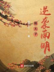 假太子逆袭南明封面