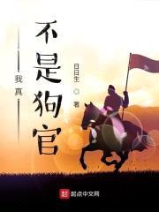 极品佞臣封面