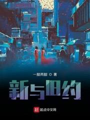 新与旧约封面