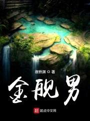 金舰男封面