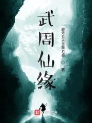 武周仙缘封面