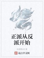 正派从反派开始封面
