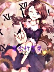 星光祈愿录封面