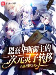 恩兹华斯御主的二次元灵子转移封面