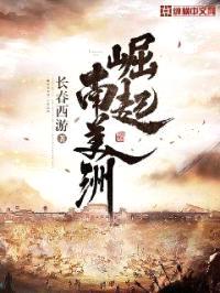 崛起南美洲封面