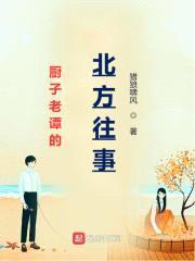 厨子老谭的北方往事封面