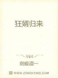 狂婿归来纵横都市封面
