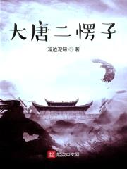 大唐二愣子封面