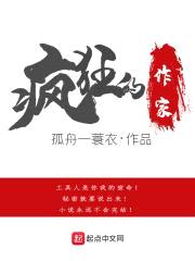 疯狂的作家封面