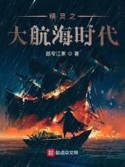 精灵之大航海时代封面