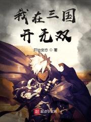 我在三国开无双封面