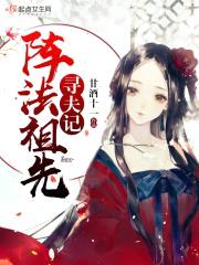 阵法祖先寻夫记封面