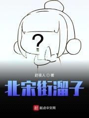 北宋街溜子封面