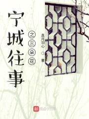 宁城往事之三朵花封面