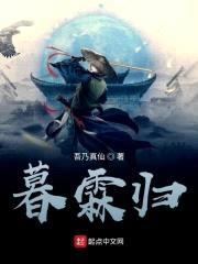 暮霖归封面