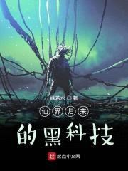 仙界归来的黑科技封面