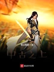 中古之上封面