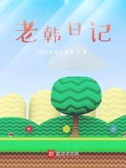 老韩日记封面