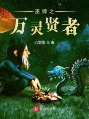 巫师之万灵贤者封面