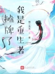 摊牌了：我是重生者封面