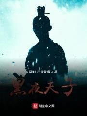 黑夜天子封面