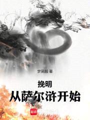 挽明从萨尔浒开始封面