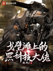 戈壁滩上的黑科技大佬封面