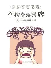 我的游戏就是不按套路出牌封面
