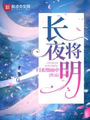 长夜将明封面