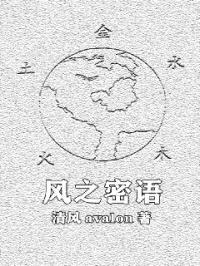 风之密语封面