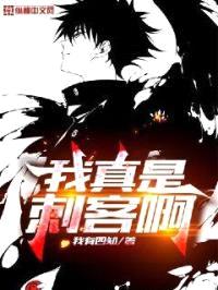 我真是刺客啊封面