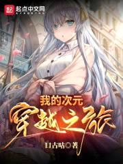 没人比我更懂次元世界封面