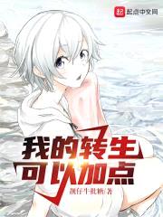 我的转生可以加点封面