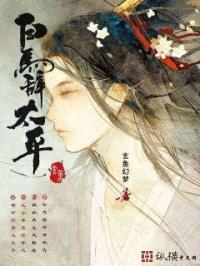 白马辞太平封面