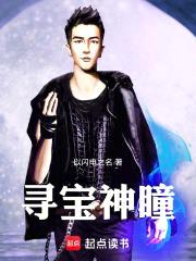 寻宝神瞳封面