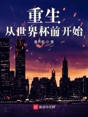 重生从世界杯前开始封面